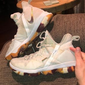 Lebron 11’s Nike shoes